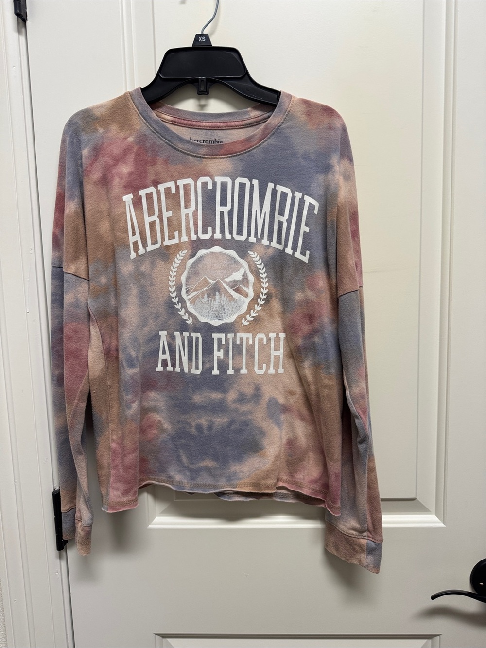 abercrombie kids Tie-Dye Logo Tee in Blush, Blue, Tan